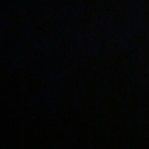 Meet your Posher, Albert